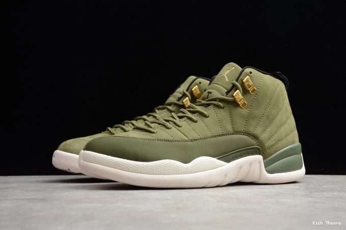 Kicktheory Paul Chris 130690-301 2003 Jordan Air 12 Class of 0715